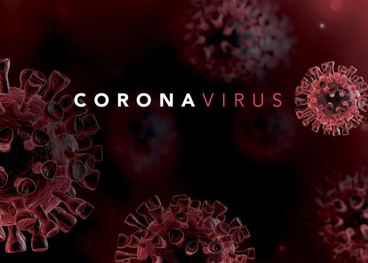 Verdades e mentiras da Covid-19